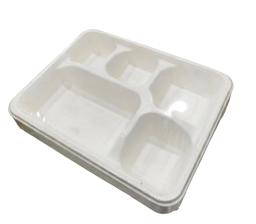 AKDC Rectangular 5-Compartment Sugarcane Pulp Paper Plates – 25 Piece Pack