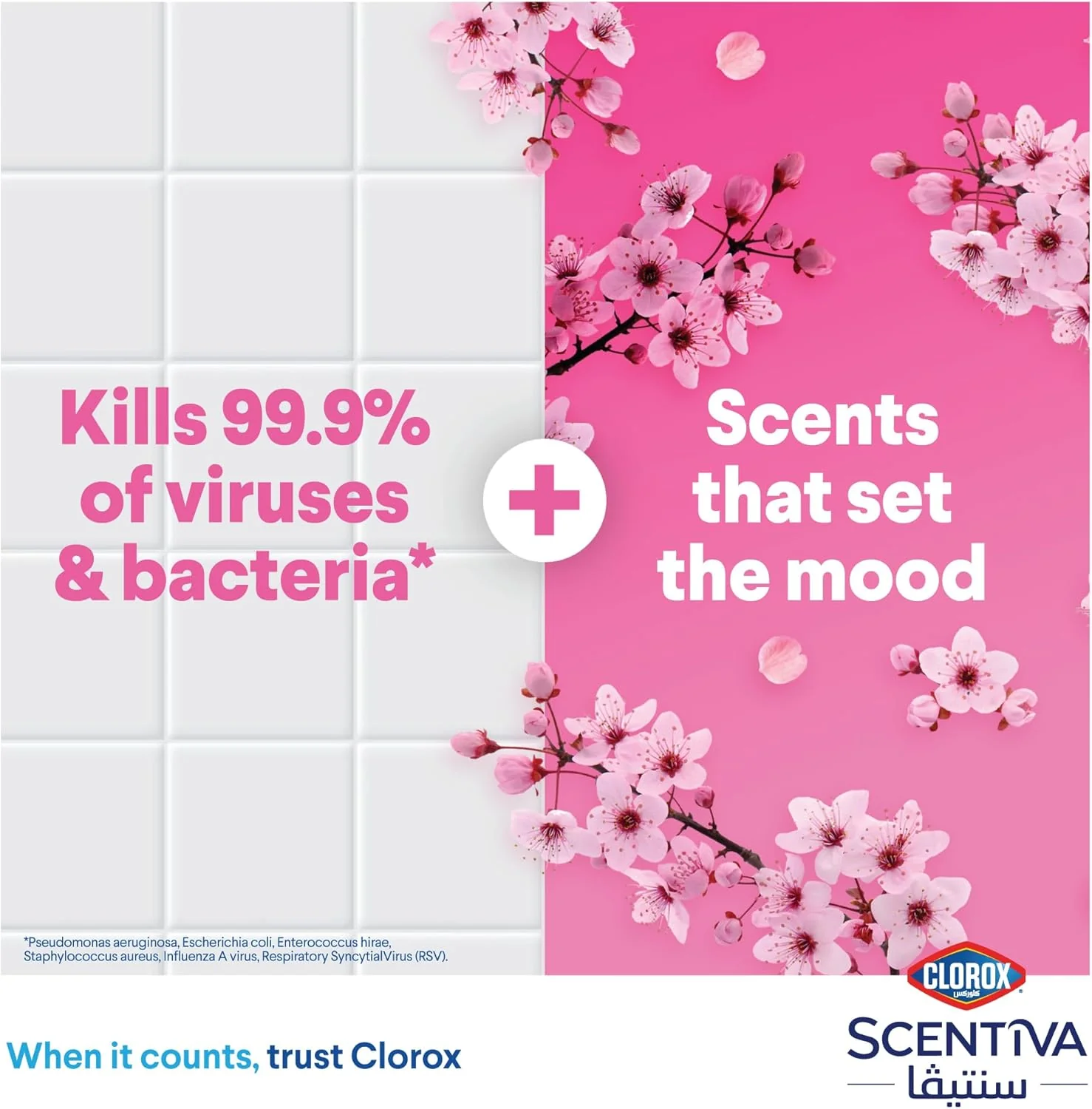 Clorox Scentiva Disinfectant Floor Cleaner 1.5L, Japanese Spring Blossom, Kills 99.9% of Viruses and Bacteria, Bleach Free - Image 3
