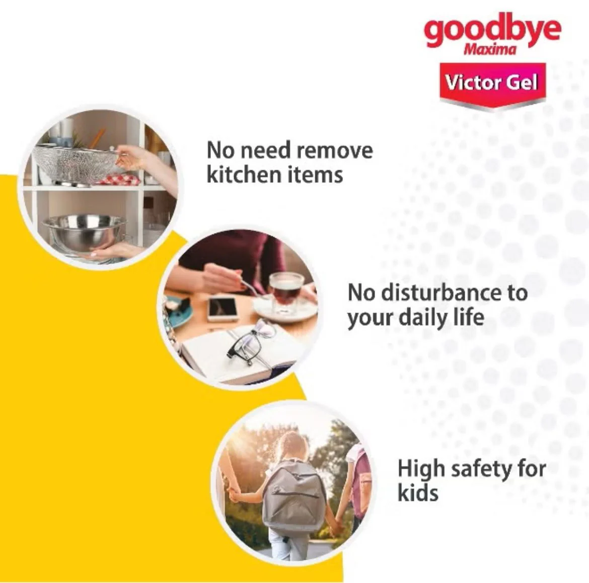 Dutch & Habro Goodbye Maxima Victor Gel, Insecticide Gel 25g - Image 3