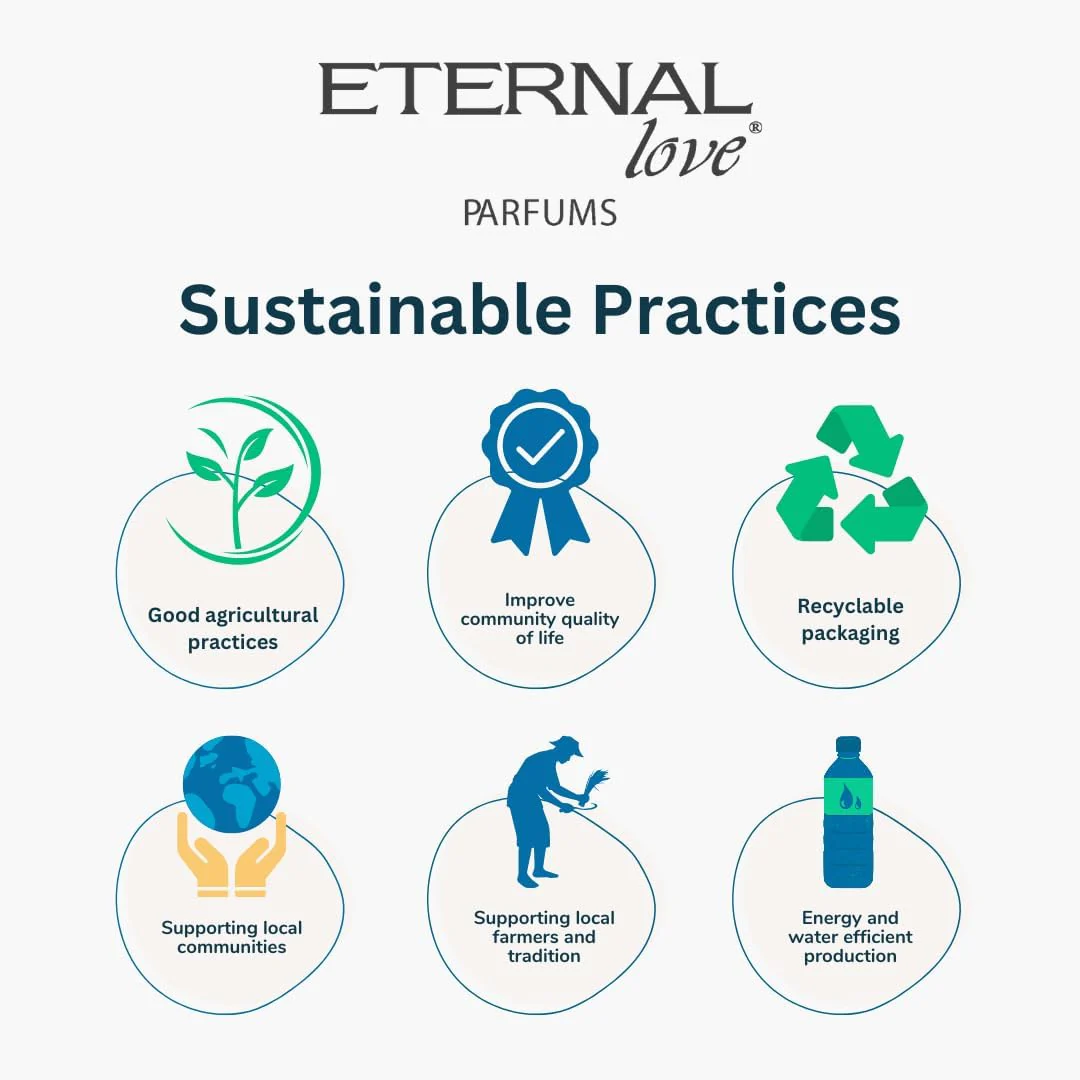 Eternal Love XLouis Eau De Parfum For Men-100ML - Image 3