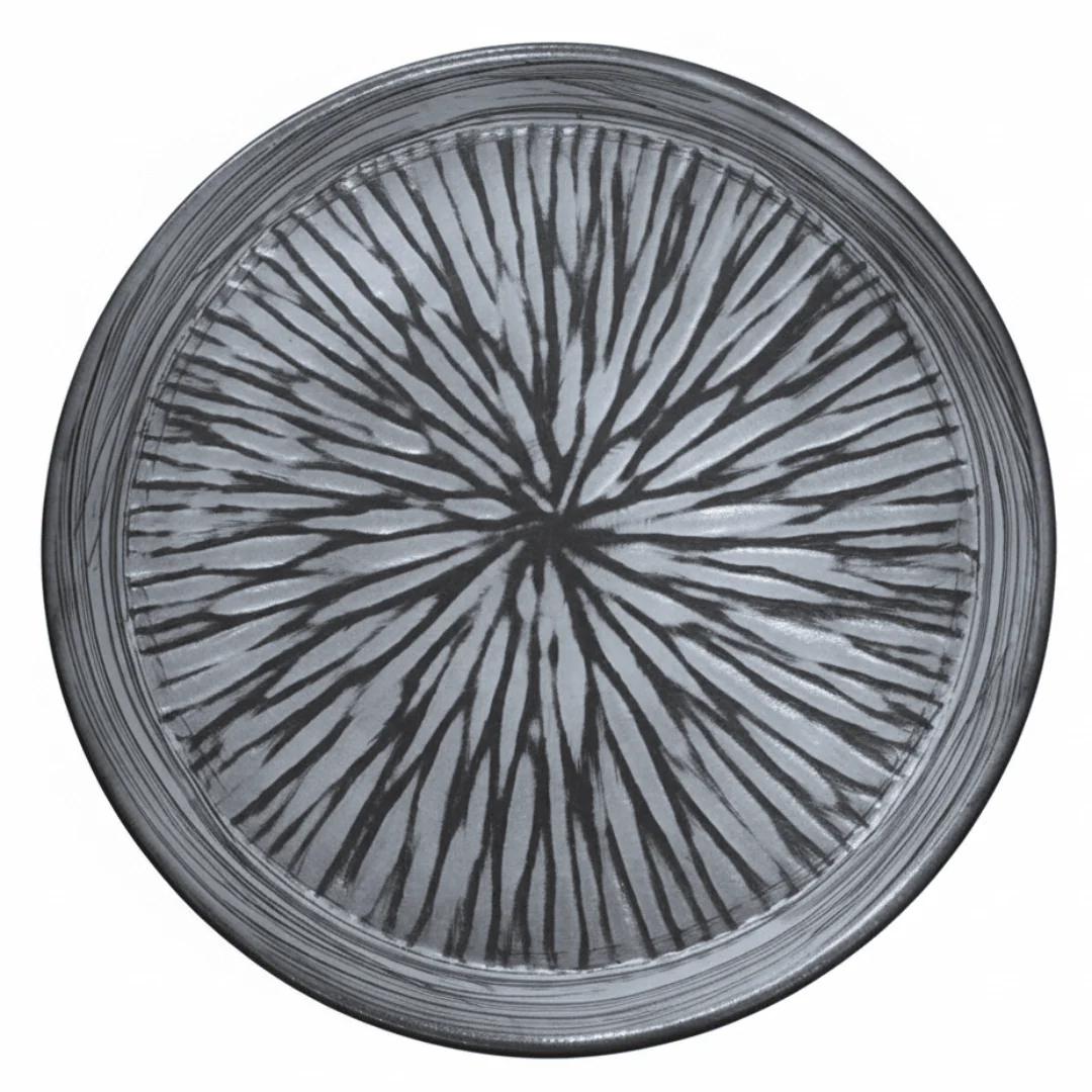 Grey & Black Elegant Ceramic Round Plate — 23cm | Starburst Radial Design