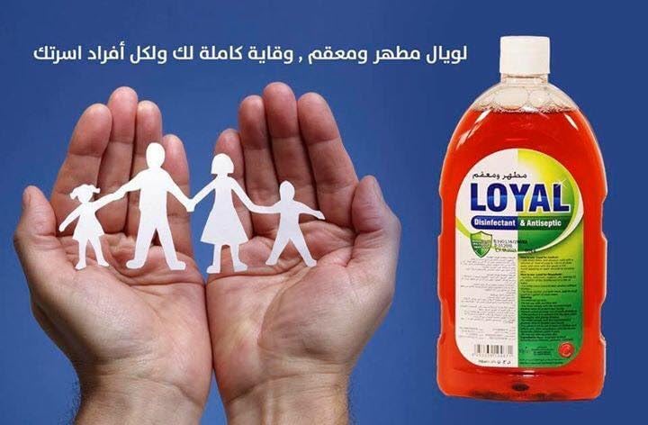 Loyal Disinfectant & Antiseptic 750ml, Protect Your World Against Harmful Germs - Image 2