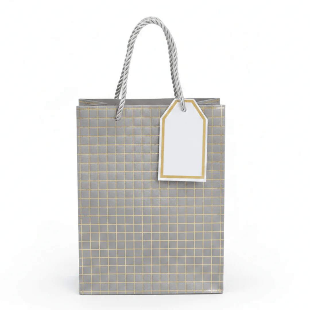 Paper Gift Bag with Rope Handles & Gift Tag | 23×18cm | Elegant Packaging for Birthdays, Weddings, Celebrations & Special Occasions