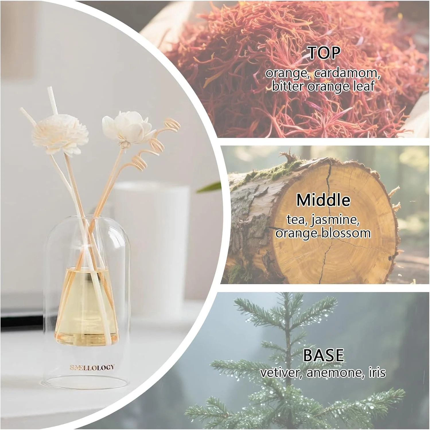 SMELLOLOGY  Tranquil Flower Flowers Home Diffuser- Autumn Vibes 120ml - Image 4