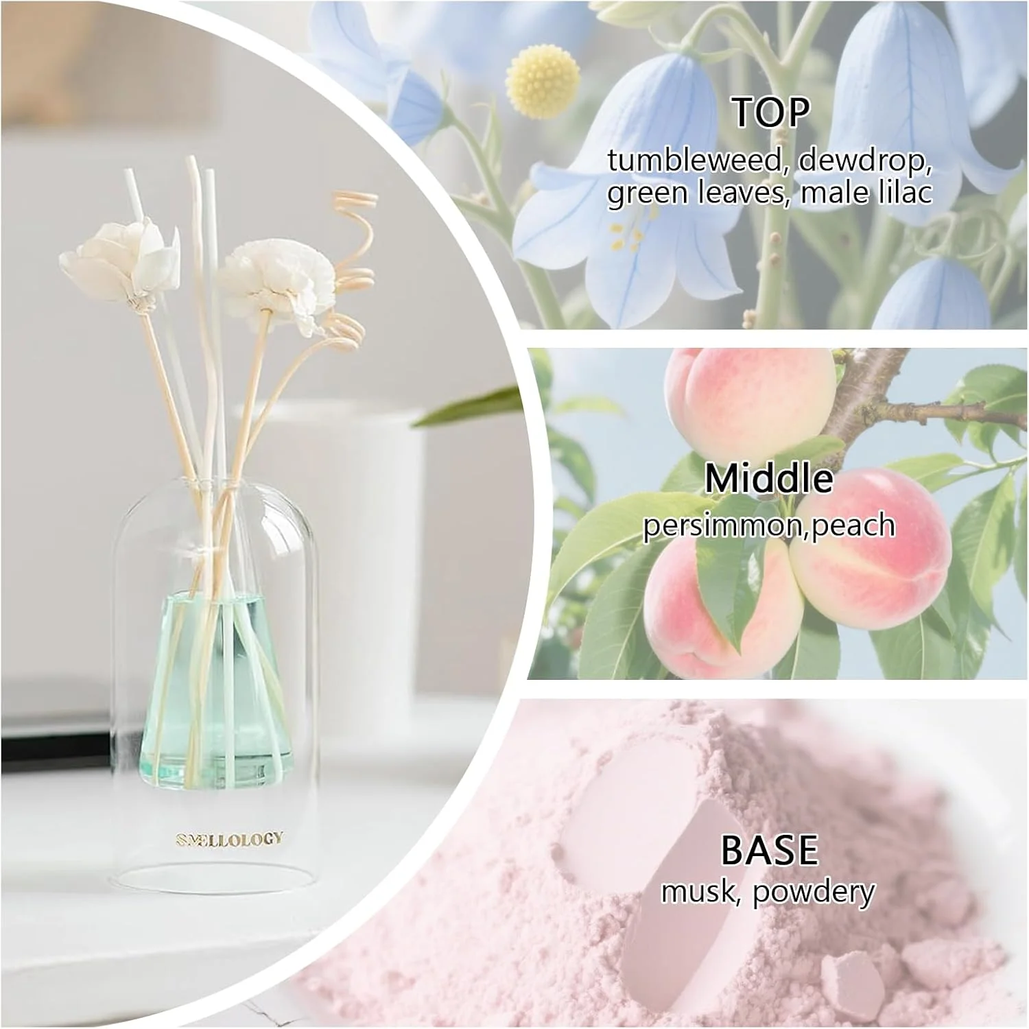 SMELLOLOGY  Tranquil Flower Flowers Home Diffuser- Tea Escape 120ml - Image 4