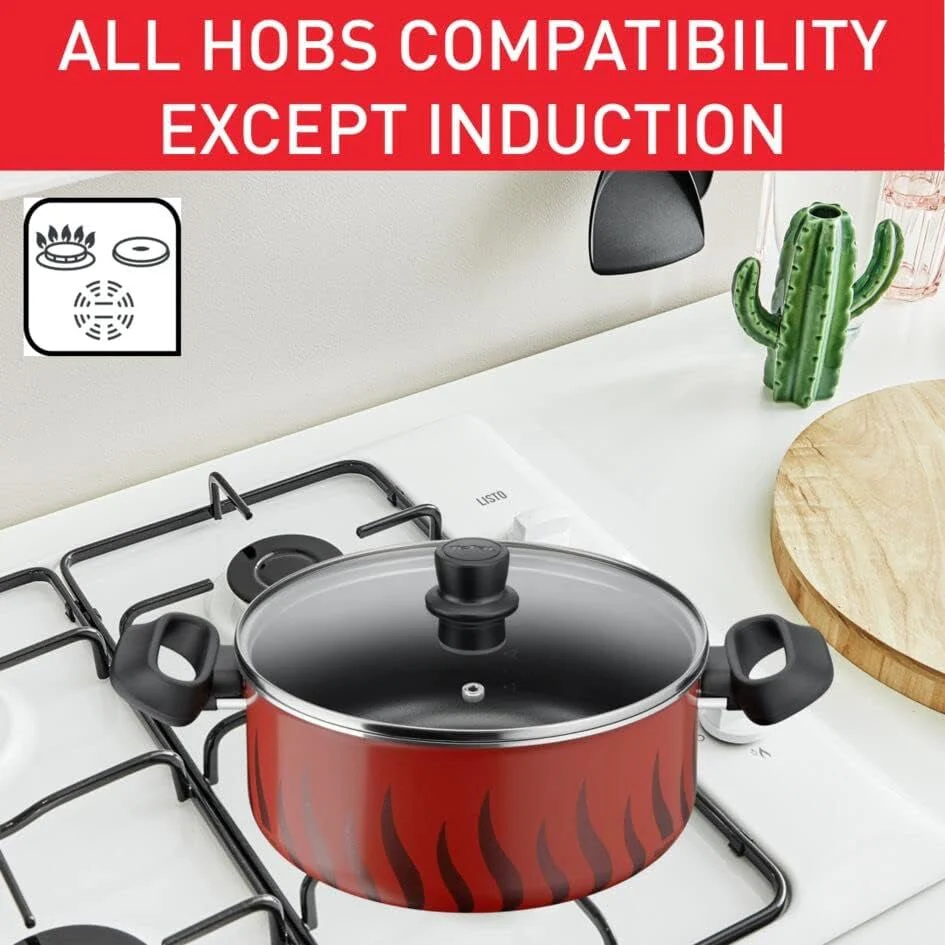 TEFAL Casserol/Stewpot with Lid 24cm, 4.5 Litre- Flame Design - Image 3