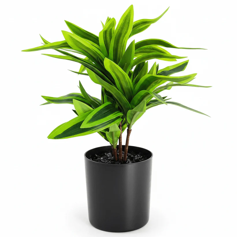 Zeem Premium Artificial Green Indoor Plant with Black Plastic Pot – 29 × 11 cm Realistic Decorative Tabletop & Office Home Décor