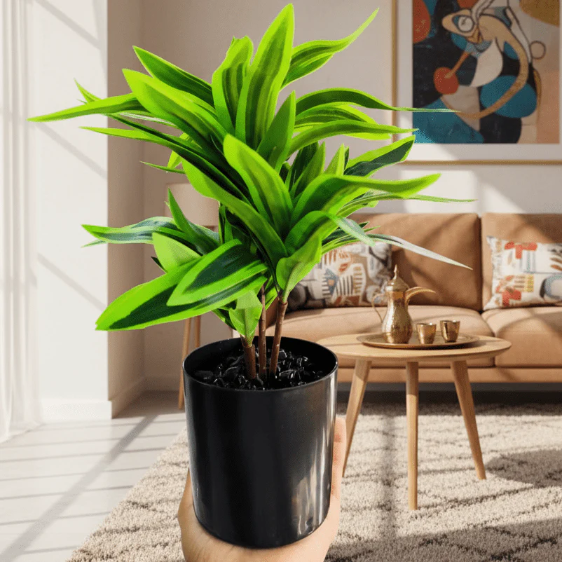 Zeem Premium Artificial Green Indoor Plant with Black Plastic Pot – 29 × 11 cm Realistic Decorative Tabletop & Office Home Décor - Image 2